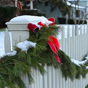 White Pine Garland